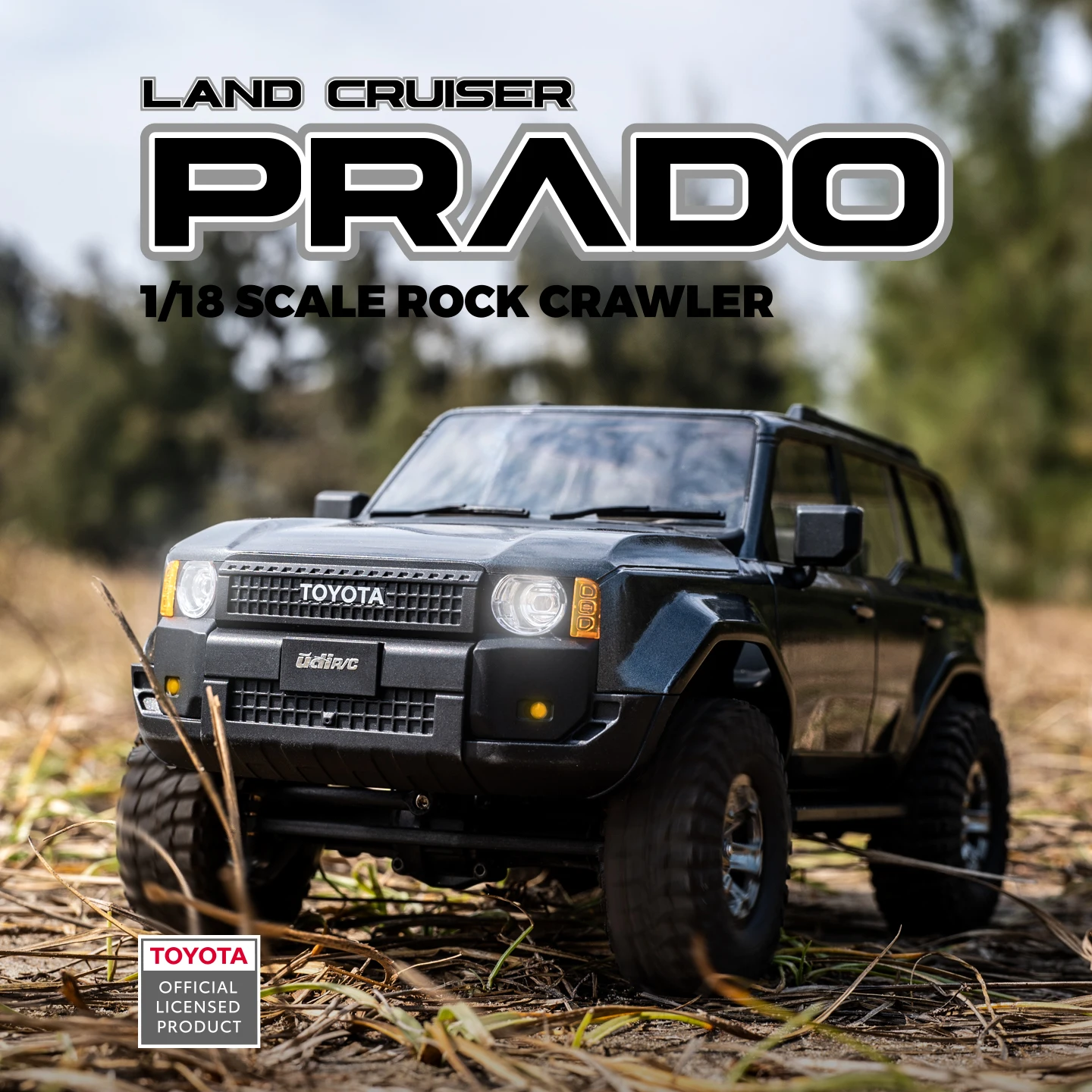UDIRC 1/18 1/24 Scale Rock Cra - Rc Hobby Grade Truck review and price